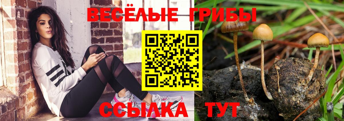 Галлюциногенные грибы Cubensis Верхний Уфалей